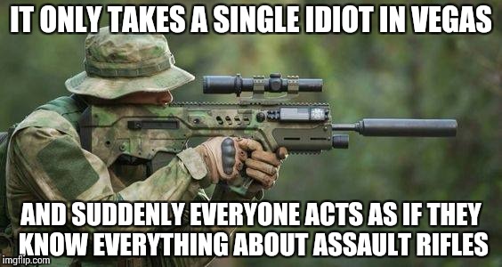 there are too many misinformed wannabes | IT ONLY TAKES A SINGLE IDIOT IN VEGAS; AND SUDDENLY EVERYONE ACTS AS IF THEY KNOW EVERYTHING ABOUT ASSAULT RIFLES | image tagged in memes,facts,fiction | made w/ Imgflip meme maker