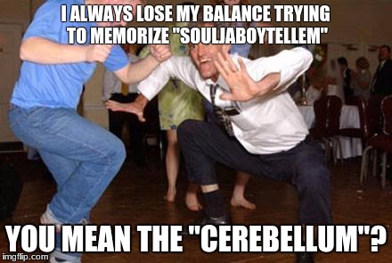 Funny dancing | I ALWAYS LOSE MY BALANCE TRYING TO MEMORIZE "SOULJABOYTELLEM"; YOU MEAN THE "CEREBELLUM"? | image tagged in funny dancing | made w/ Imgflip meme maker
