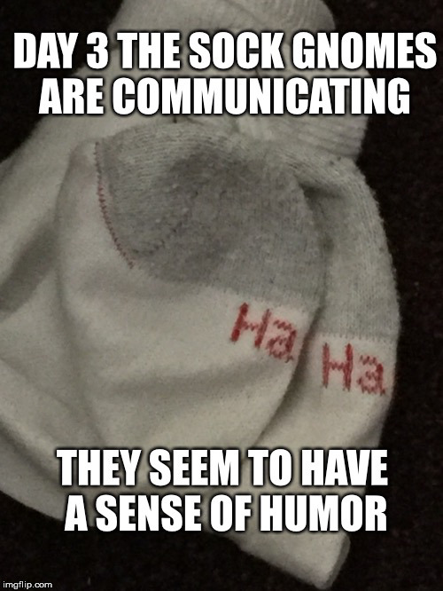 Sock Gnome Sense Of Humor | image tagged in sock gnomes,gnomes,douknowwhatimeme,laundry,dirty diapers,diabeetus | made w/ Imgflip meme maker