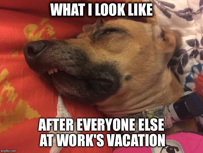 Ruby | WHAT I LOOK LIKE; AFTER EVERYONE ELSE AT WORK'S VACATION | image tagged in ruby | made w/ Imgflip meme maker