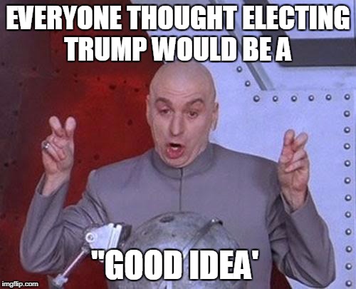 Dr Evil Laser Meme | EVERYONE THOUGHT ELECTING TRUMP WOULD BE A; "GOOD IDEA' | image tagged in memes,dr evil laser | made w/ Imgflip meme maker