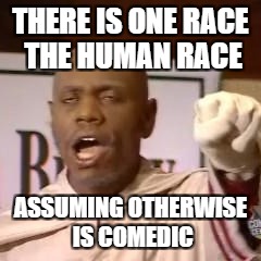 White power | THERE IS ONE RACE THE HUMAN RACE; ASSUMING OTHERWISE IS COMEDIC | image tagged in white power | made w/ Imgflip meme maker