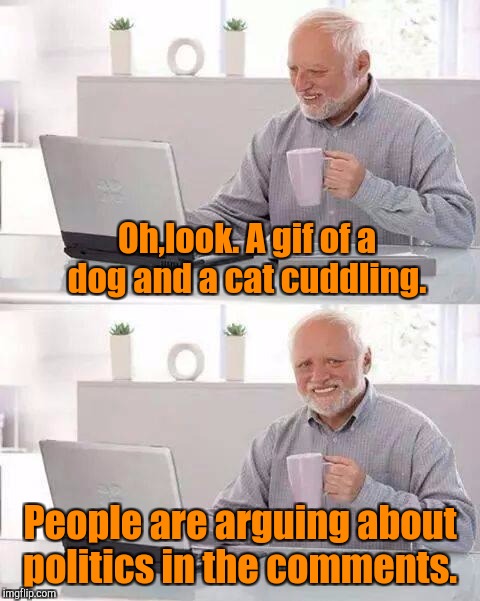 Hide the Pain Harold Meme | Oh,look. A gif of a dog and a cat cuddling. People are arguing about politics in the comments. | image tagged in memes,hide the pain harold | made w/ Imgflip meme maker