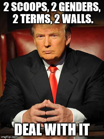 Serious Trump | 2 SCOOPS, 2 GENDERS, 2 TERMS, 2 WALLS. DEAL WITH IT | image tagged in serious trump | made w/ Imgflip meme maker