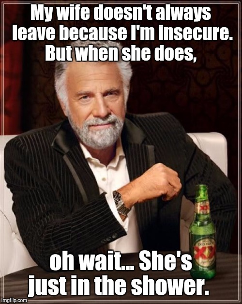 The Most Interesting Man In The World Meme | My wife doesn't always leave because I'm insecure. But when she does, oh wait... She's just in the shower. | image tagged in memes,the most interesting man in the world | made w/ Imgflip meme maker