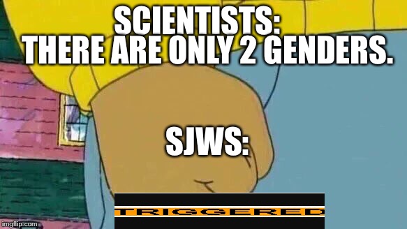 Arthur Fist | SCIENTISTS:; THERE ARE ONLY 2 GENDERS. SJWS: | image tagged in memes,arthur fist | made w/ Imgflip meme maker