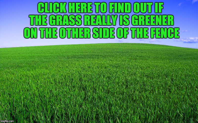 CLICK HERE TO FIND OUT IF THE GRASS REALLY IS GREENER ON THE OTHER SIDE OF THE FENCE | made w/ Imgflip meme maker