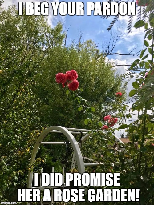 I BEG YOUR PARDON; I DID PROMISE HER A ROSE GARDEN! | image tagged in rosegarden | made w/ Imgflip meme maker