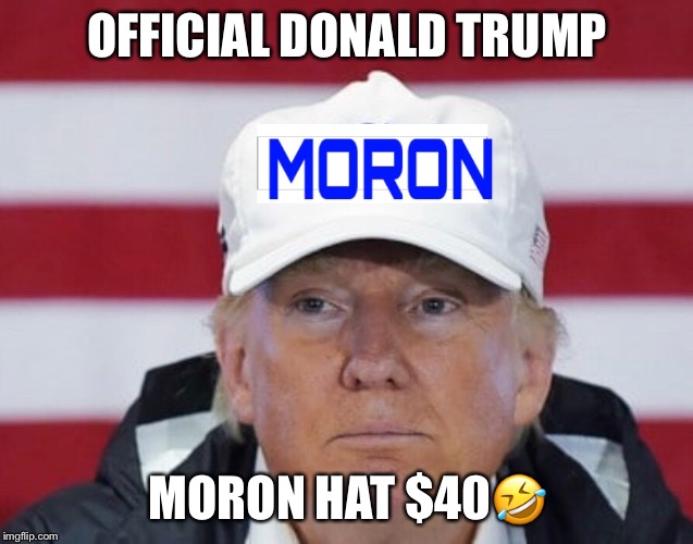 Donald Trump Moron Hat | OFFICIAL DONALD TRUMP; MORON HAT $40🤣 | image tagged in donald trump,moron,hat | made w/ Imgflip meme maker