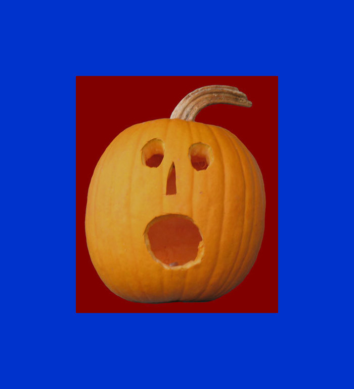 Pumpkin surprised Blank Meme Template