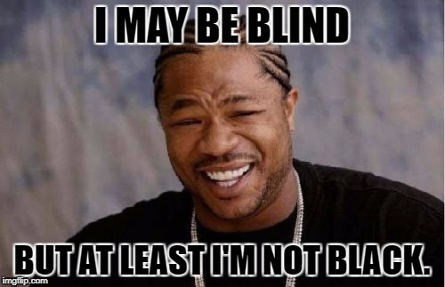 Yo Dawg Heard You Meme | I MAY BE BLIND BUT AT LEAST I'M NOT BLACK. | image tagged in memes,yo dawg heard you | made w/ Imgflip meme maker