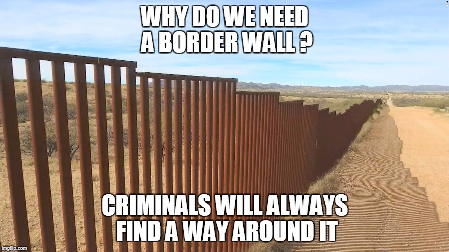 WHY DO WE NEED A BORDER WALL ? CRIMINALS WILL ALWAYS FIND A WAY AROUND IT | image tagged in wall | made w/ Imgflip meme maker