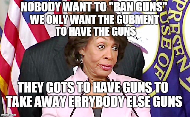 maxine answers questions | NOBODY WANT TO "BAN GUNS" WE ONLY WANT THE GUBMENT TO HAVE THE GUNS THEY GOTS TO HAVE GUNS TO TAKE AWAY ERRYBODY ELSE GUNS | image tagged in maxine answers questions | made w/ Imgflip meme maker