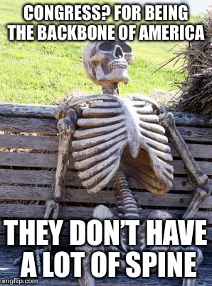 No spine | CONGRESS? FOR BEING THE BACKBONE OF AMERICA; THEY DON’T HAVE A LOT OF SPINE | image tagged in memes,waiting skeleton,pun,funny | made w/ Imgflip meme maker