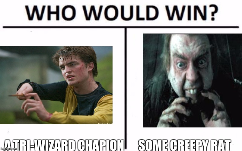 Who Would Win? | A TRI-WIZARD CHAPION; SOME CREEPY RAT | image tagged in who would win | made w/ Imgflip meme maker