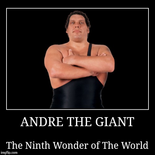 Andre the Giant | image tagged in wwe | made w/ Imgflip demotivational maker