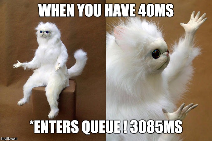 Persian Cat Room Guardian Meme | WHEN YOU HAVE 40MS; *ENTERS QUEUE ! 3085MS | image tagged in memes,persian cat room guardian | made w/ Imgflip meme maker