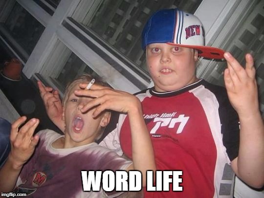 Word life | WORD LIFE | image tagged in word life,funny,kids,funny memes,og,gangsta | made w/ Imgflip meme maker