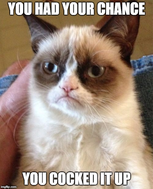 Grumpy Cat Meme | YOU HAD YOUR CHANCE; YOU COCKED IT UP | image tagged in memes,grumpy cat | made w/ Imgflip meme maker
