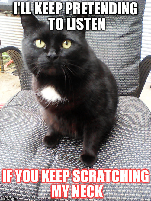 At least she doesn't answer back... |  I'LL KEEP PRETENDING TO LISTEN; IF YOU KEEP SCRATCHING MY NECK | image tagged in cat,kitty | made w/ Imgflip meme maker