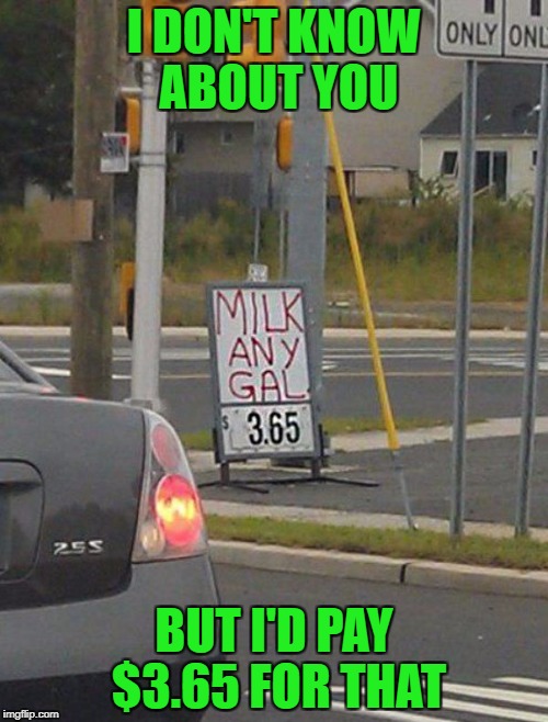 It's not just the milk, it's the "EXPERIENCE"!!! | I DON'T KNOW ABOUT YOU; BUT I'D PAY $3.65 FOR THAT | image tagged in milk any gal,memes,funny signs,funny,it does a body good,milk | made w/ Imgflip meme maker