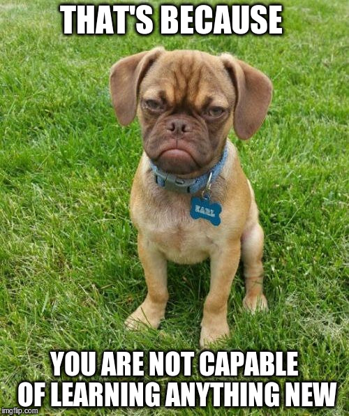 THAT'S BECAUSE YOU ARE NOT CAPABLE OF LEARNING ANYTHING NEW | made w/ Imgflip meme maker