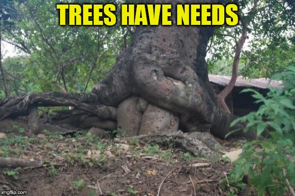 TREES HAVE NEEDS | made w/ Imgflip meme maker