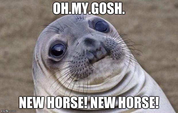 Awkward Moment Sealion | OH.MY.GOSH. NEW HORSE! NEW HORSE! | image tagged in memes,awkward moment sealion | made w/ Imgflip meme maker