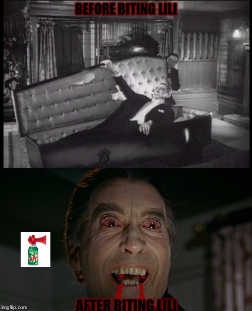Before & After Part 3 | BEFORE BITING LILI; AFTER BITING LILI | image tagged in dracula,before and after,mlg,coffin,dank,dat face | made w/ Imgflip meme maker