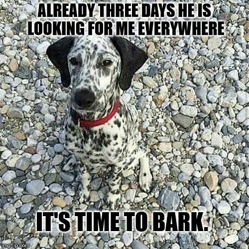 Playing hide and seek level BOSS | ALREADY THREE DAYS HE IS LOOKING FOR ME EVERYWHERE; IT'S TIME TO BARK. | image tagged in memes,funny memes,hide and seek | made w/ Imgflip meme maker
