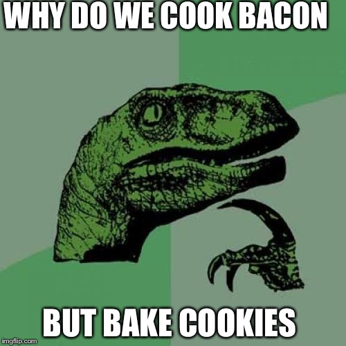 Philosoraptor | WHY DO WE COOK BACON; BUT BAKE COOKIES | image tagged in memes,philosoraptor | made w/ Imgflip meme maker