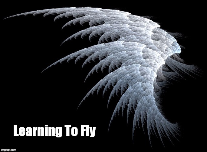 Learning To Fly | made w/ Imgflip meme maker