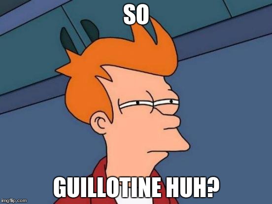 Futurama Fry Meme | SO; GUILLOTINE HUH? | image tagged in memes,futurama fry | made w/ Imgflip meme maker