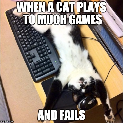 Cats be like | WHEN A CAT PLAYS TO MUCH GAMES; AND FAILS | image tagged in cats be like | made w/ Imgflip meme maker