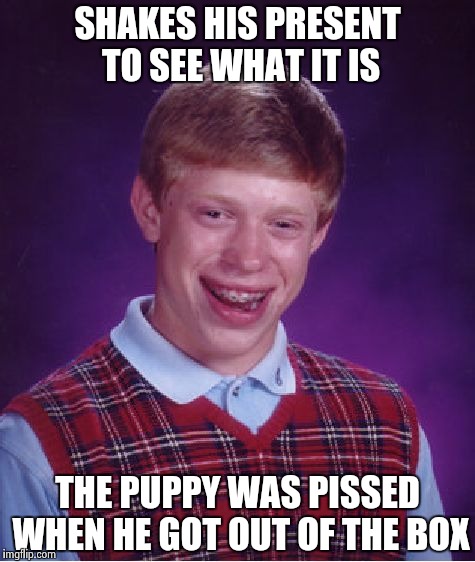 Bad Luck Brian Meme | SHAKES HIS PRESENT TO SEE WHAT IT IS THE PUPPY WAS PISSED WHEN HE GOT OUT OF THE BOX | image tagged in memes,bad luck brian | made w/ Imgflip meme maker