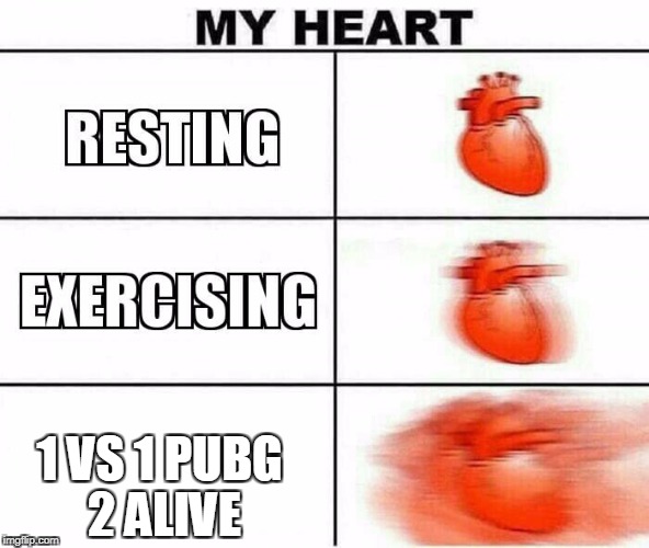 MY HEART | 1 VS 1 PUBG 2 ALIVE | image tagged in my heart | made w/ Imgflip meme maker