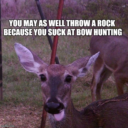 Raspberries doe | YOU MAY AS WELL THROW A ROCK BECAUSE YOU SUCK AT BOW HUNTING | image tagged in deer,memes,meme,hunting,whitetail deer | made w/ Imgflip meme maker