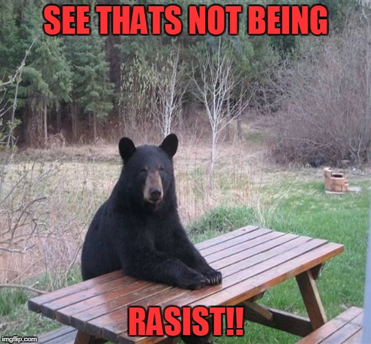 Black Bear | SEE THATS NOT BEING; RASIST!! | image tagged in black bear | made w/ Imgflip meme maker