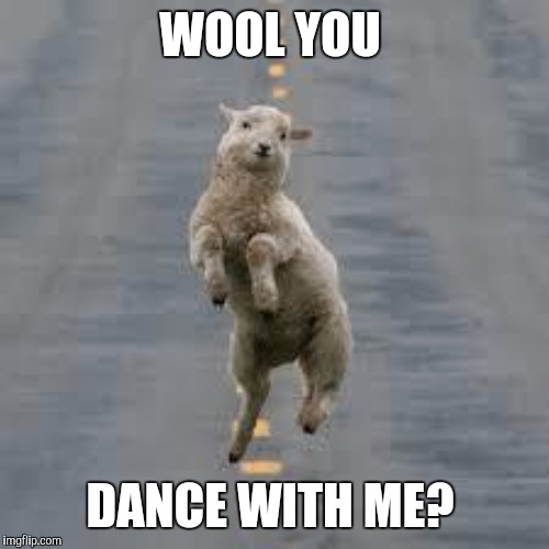 WOOL YOU DANCE WITH ME? | made w/ Imgflip meme maker