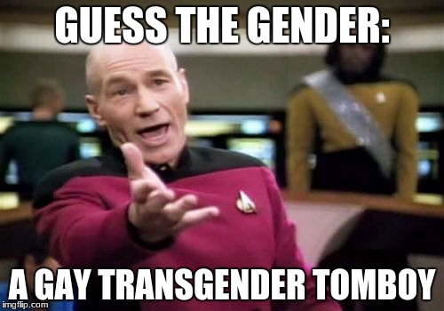 Picard Wtf | GUESS THE GENDER:; A GAY TRANSGENDER TOMBOY | image tagged in memes,picard wtf | made w/ Imgflip meme maker