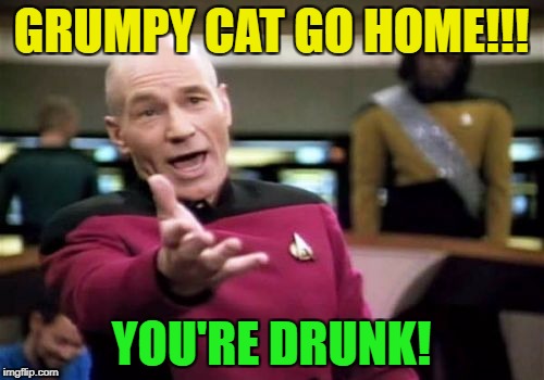 Picard Wtf Meme | GRUMPY CAT GO HOME!!! YOU'RE DRUNK! | image tagged in memes,picard wtf | made w/ Imgflip meme maker