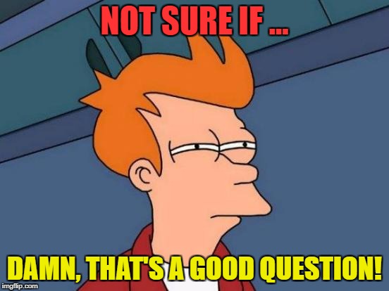 Futurama Fry Meme | NOT SURE IF ... DAMN, THAT'S A GOOD QUESTION! | image tagged in memes,futurama fry | made w/ Imgflip meme maker