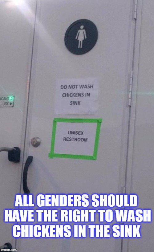 unfair | ALL GENDERS SHOULD HAVE THE RIGHT TO WASH CHICKENS IN THE SINK | image tagged in gender equality | made w/ Imgflip meme maker