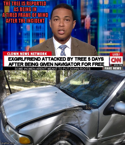 Then she lies to me about my son being in the car! Has the kid two days every week or 3 and still the drama never fades... | THE TREE IS REPORTED AS BEING IN A TIRED FRAME OF MIND AFTER THE INCIDENT | image tagged in cnn fake news,ex girlfriend,crazy ex girlfriend,women can't drive,brand new,free stuff | made w/ Imgflip meme maker