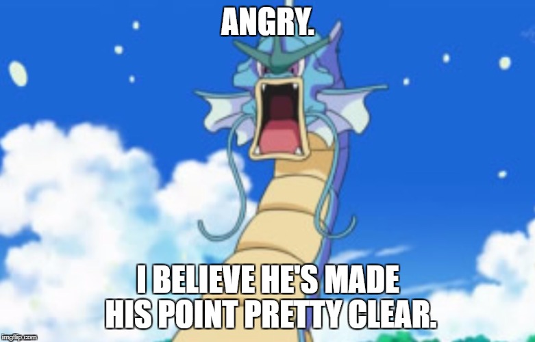 Gyrage. | ANGRY. I BELIEVE HE'S MADE HIS POINT PRETTY CLEAR. | image tagged in gyarados roar | made w/ Imgflip meme maker