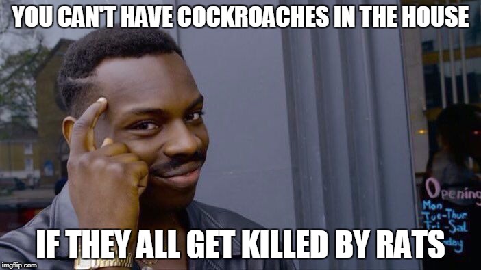 Roll Safe Think About It Meme | YOU CAN'T HAVE COCKROACHES IN THE HOUSE; IF THEY ALL GET KILLED BY RATS | image tagged in roll safe think about it | made w/ Imgflip meme maker