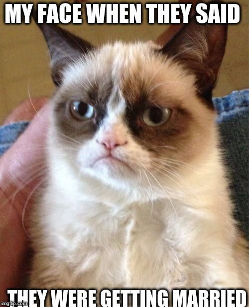 Grumpy Cat | MY FACE WHEN THEY SAID; THEY WERE GETTING MARRIED | image tagged in memes,grumpy cat | made w/ Imgflip meme maker