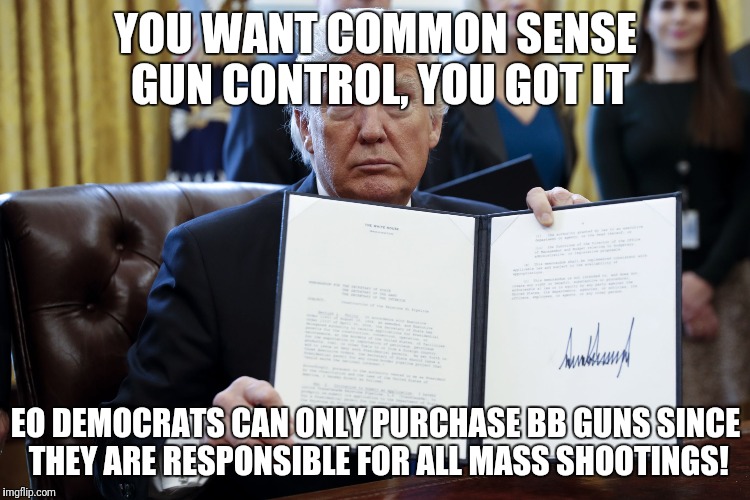 Donald Trump Executive Order | YOU WANT COMMON SENSE GUN CONTROL, YOU GOT IT; EO DEMOCRATS CAN ONLY PURCHASE BB GUNS SINCE THEY ARE RESPONSIBLE FOR ALL MASS SHOOTINGS! | image tagged in donald trump executive order | made w/ Imgflip meme maker