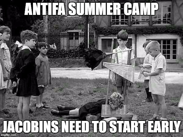 Democrat Summer Camp | ANTIFA SUMMER CAMP; JACOBINS NEED TO START EARLY | image tagged in democrat summer camp | made w/ Imgflip meme maker