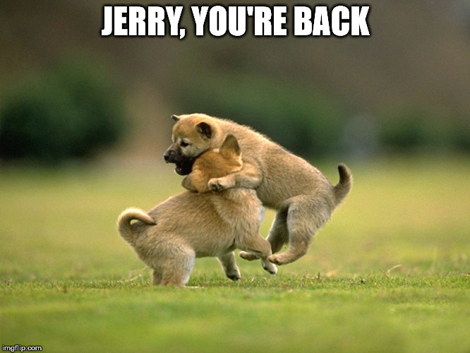 Jerry's Back | JERRY, YOU'RE BACK | image tagged in happy dog | made w/ Imgflip meme maker